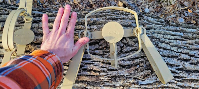 How to Become a Fur Trapper